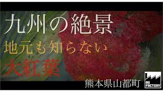 【九州の絶景】熊本の隠れた大もみじ　熊本紅葉　九州紅葉　京の上臈　うのこの滝　JapanAutumn#Autumn#Japan#kumamoto#Autumn