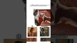 ♥️Я V/S ЛПэшка♥️ 