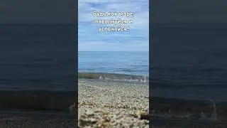 море! жизнь в песке