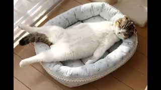 Расслабься! Но не на долго!