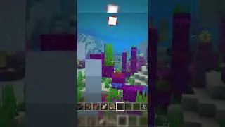 Dolphins Can Live On Land?! 