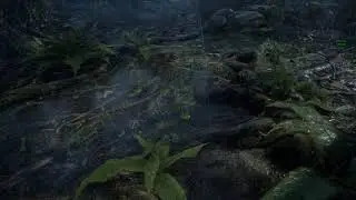 UE4 Rain Land Material Test