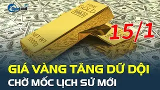 Giá vàng hôm nay 15/1 TĂNG DỮ DỘI, chờ mốc lịch sử mới, dầu và USD tiếp đà đi lên | CafeLand