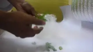 Cryogenic freezing - use liquid nitrogen - natural leaves