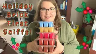 Scentsy Holiday Bricks FIRST SNIFFS AND Small Clearance Haul!!!