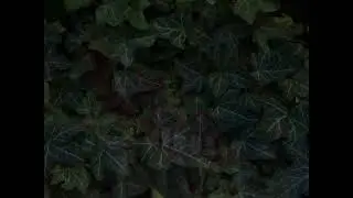 Dia-AV meets Audiolabor