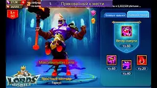 5 Стадия 