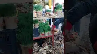 Подскажите, для чего это? 