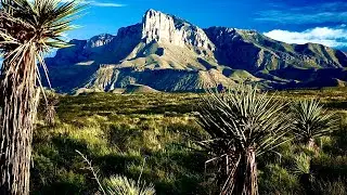 #251 Parque Nacional Guadalupe TX