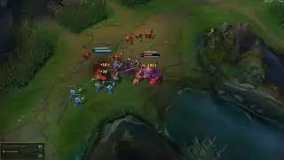 Warwick ranked experience