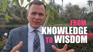 Unlock the Power of Gratitude: How It Fuels Success (IQ vs. AQ) Ep. 177