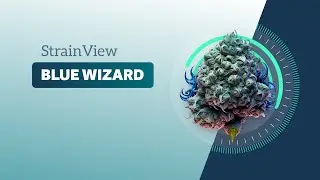 Blue Wizard - StrainView