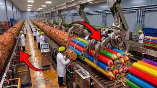From TRUNK to PENCIL! This is how a TREE becomes MILLIONS of PENCILS a DAY ✏️