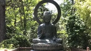 Japanese Tea Garden Video Tour (Golden Gate Park)