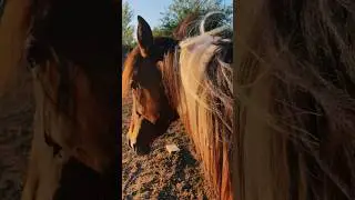 Наша Афина наслаждается жизнью