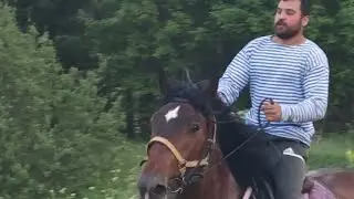 Приключения нерусского прогулки на коней