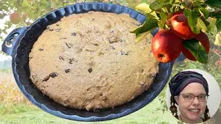 Raisin Apple Sauce Cake Recipe: A Sweet & Spiced Delight
