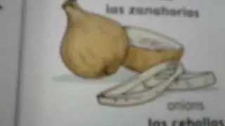 Learn English types of vegetables
