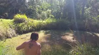 Ozzy man saves drowning Kangaroo