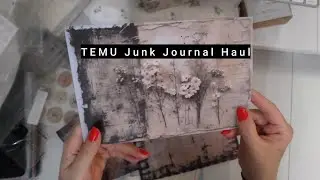 Temu Junk Journaling Haul