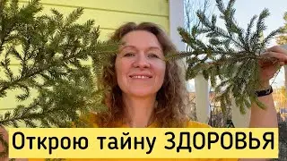 Приглашение в Клуб ЗОЖ.