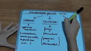 Cosa sono i procedimenti speciali?