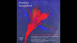 [FREE] Guitar SamplePack/LoopKit - 
