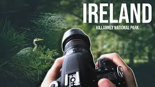 POV Nature Photography | Ireland
