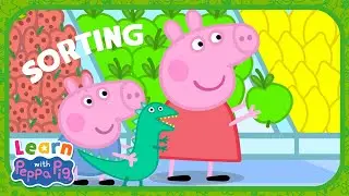 Learn How To Sort With Peppa Pig! 📝 Educational Videos for Kids 📚 Learn With Peppa Pig
