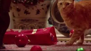 Кошачий Новый Год