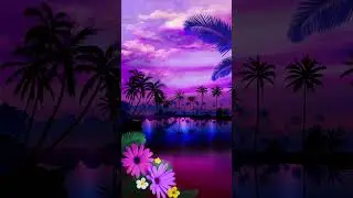 Summer Rainbow Beach pink coconut trees