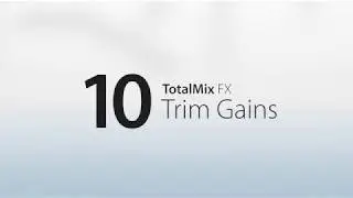 RME Audio TotalMix FX - 10 Trim Gain