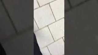Ablam la parkur serisi