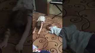 Когда дети остались с папой приколы до слёз