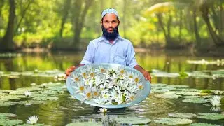 Water Lily Flower Fry 🌷 A Rainy Season Special - Foraging Fresh Water Lilies from the Village Pond!
