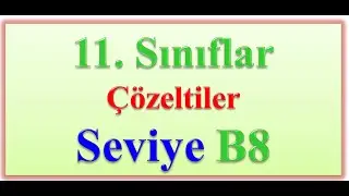 11 SINIFLAR ÇÖZELTİLER SEVİYE B8