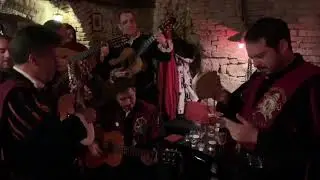 Tuna Ciencias Valencia y Biología de Sevilla, Bratislava Semana Santa 2019 - 1