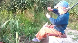 ловим карасей