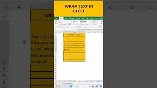 WRAPTEXT IN EXCEL 