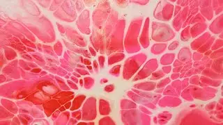 569 - Mo's Color Challenge | Transparent Cell Activator | #acrylicpouring #fluidart #paintpouring