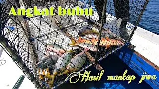 angkat bubu atau perangkap ikan laut, hasil laut mantap jiwa