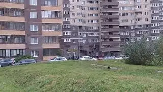 Охота