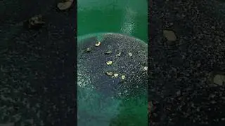 Big Gold Strike in the California Motherlode #goldprospecting #outdooradventures #goldfever