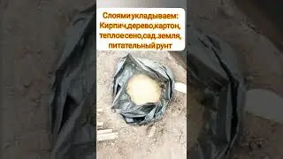 черенкование огурца