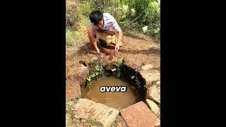 😱🐢 La tartaruga gigante nello stagno