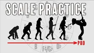 Eliminate DEAD ZONES: Scale practice from beginner to PRO