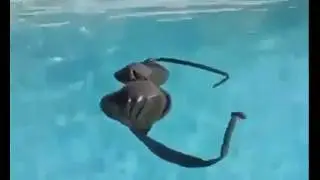 Одела лифчик без рук