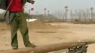 Вот для чего нужен сибирский лес китайцам