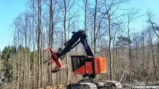 TimberPro TL755D Fellerbuncher cutting with a Quadco 27sc hot saw