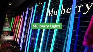 Mulberry Lights #mulberrylights